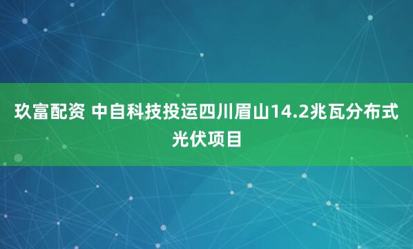玖富配资 中自科技投运四川眉山14.2兆瓦分布式光伏项目