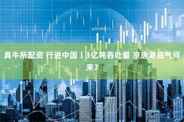 真牛所配资 行进中国丨3亿吨吞吐量 京唐港底气何来？