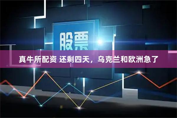 真牛所配资 还剩四天，乌克兰和欧洲急了