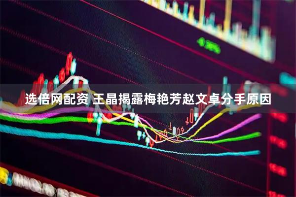 选倍网配资 王晶揭露梅艳芳赵文卓分手原因