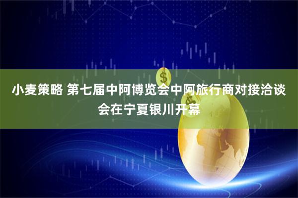 小麦策略 第七届中阿博览会中阿旅行商对接洽谈会在宁夏银川开幕