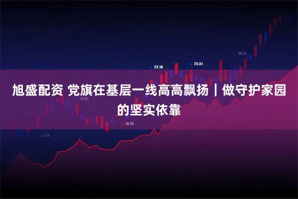 旭盛配资 党旗在基层一线高高飘扬｜做守护家园的坚实依靠