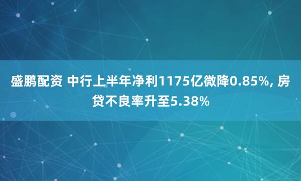 盛鹏配资 中行上半年净利1175亿微降0.85%, 房贷不良率升至5.38%
