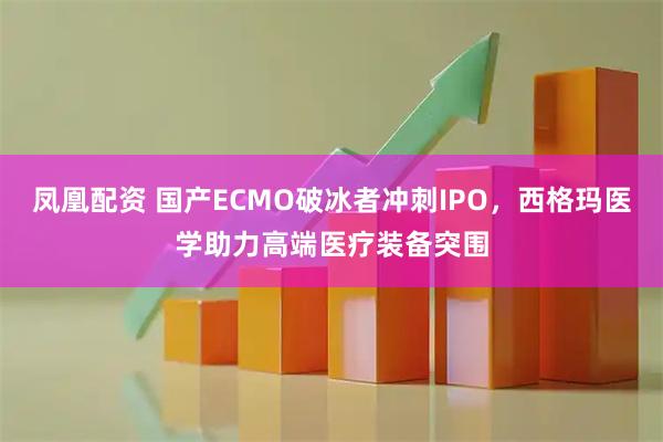 凤凰配资 国产ECMO破冰者冲刺IPO，西格玛医学助力高端医疗装备突围